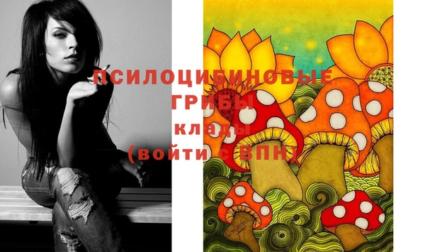 мескалин Баксан